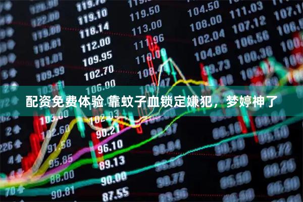 配资免费体验 靠蚊子血锁定嫌犯，梦婷神了